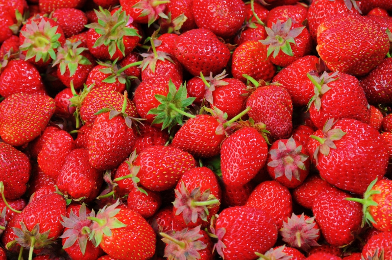 primeur-TRIGANCE-min_strawberries-528791